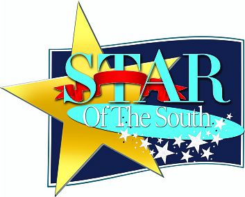 Star of the South Award- Best Web Design Company